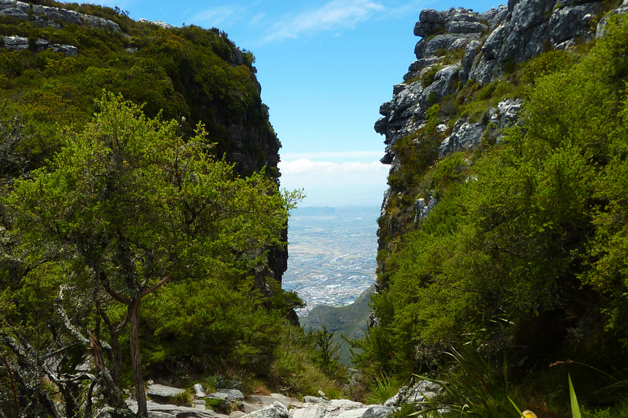 Table Mountain front.