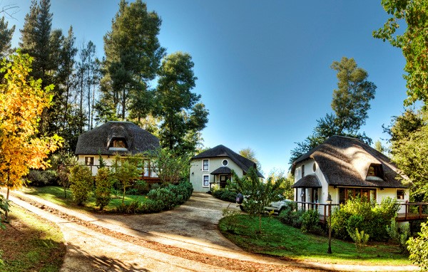 Hogsback - Around About Cars