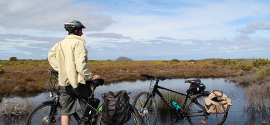Cape Point National Park.
