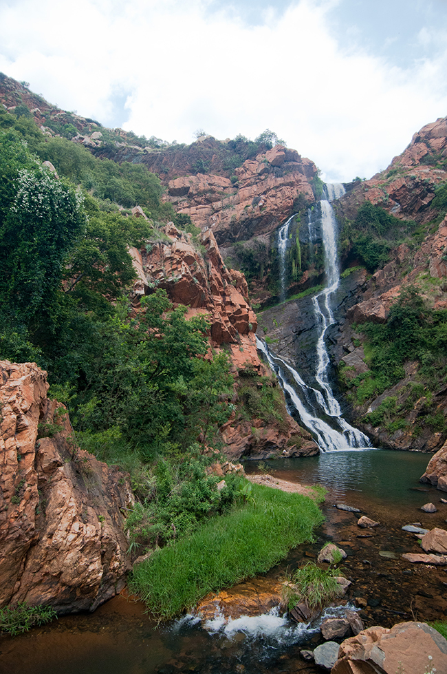 Walter Sisulu Botanical Gardens - Around About Cars