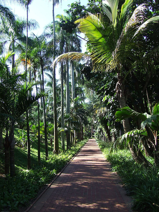 Durban Botanical Garden - Around About Cars