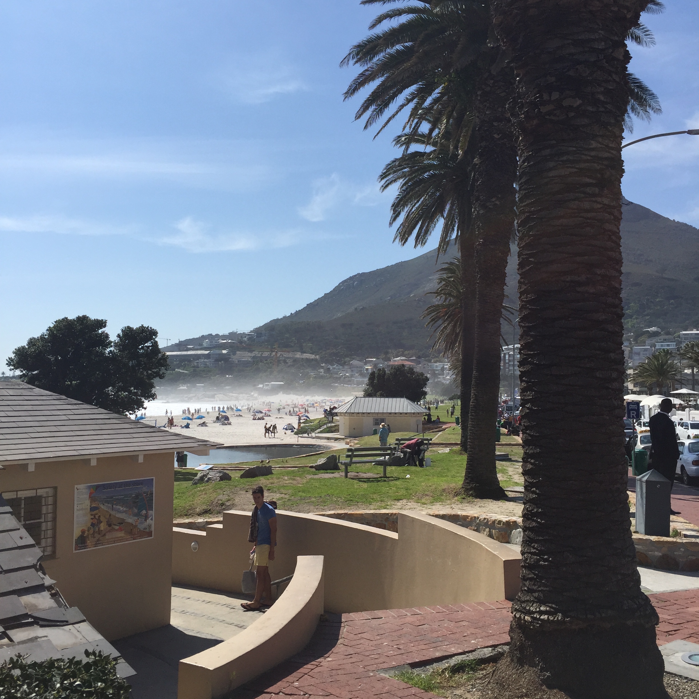 Palm trees and picnic are on the promenade.