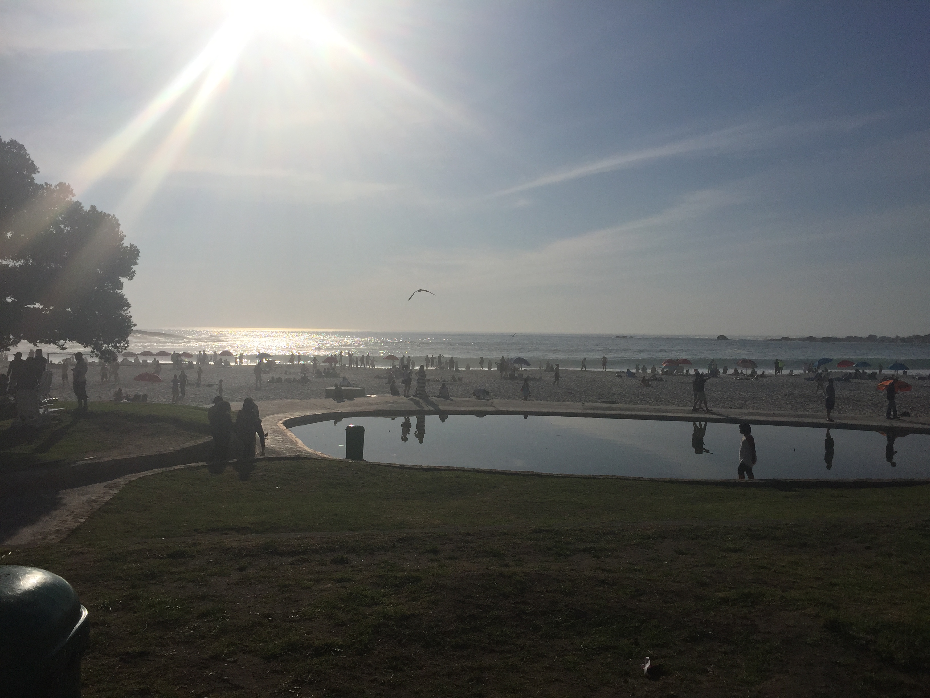 View of Camps Bay picnic area and beach.