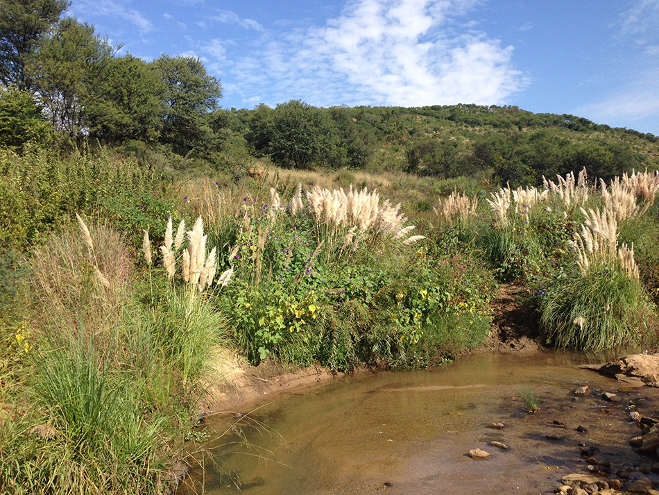 Klipriviersberg Nature Reserve - Around About Cars