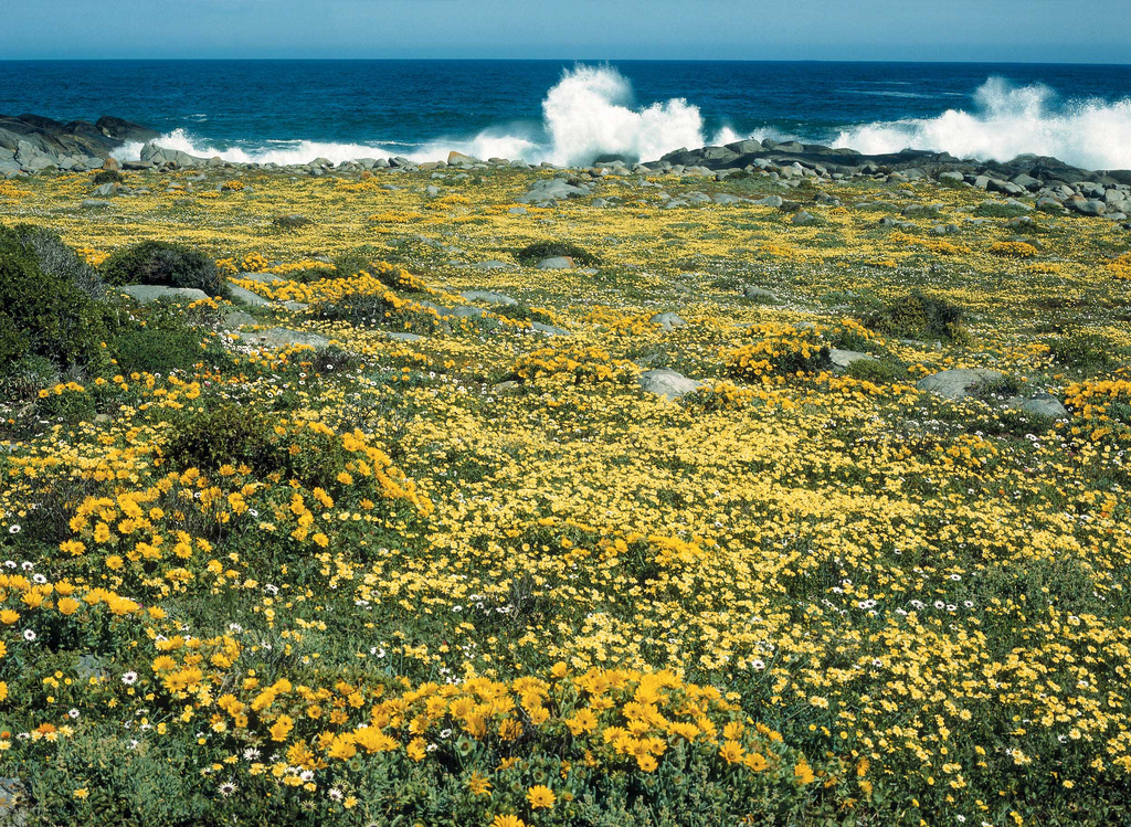 West Coast National Park - Around About Cars