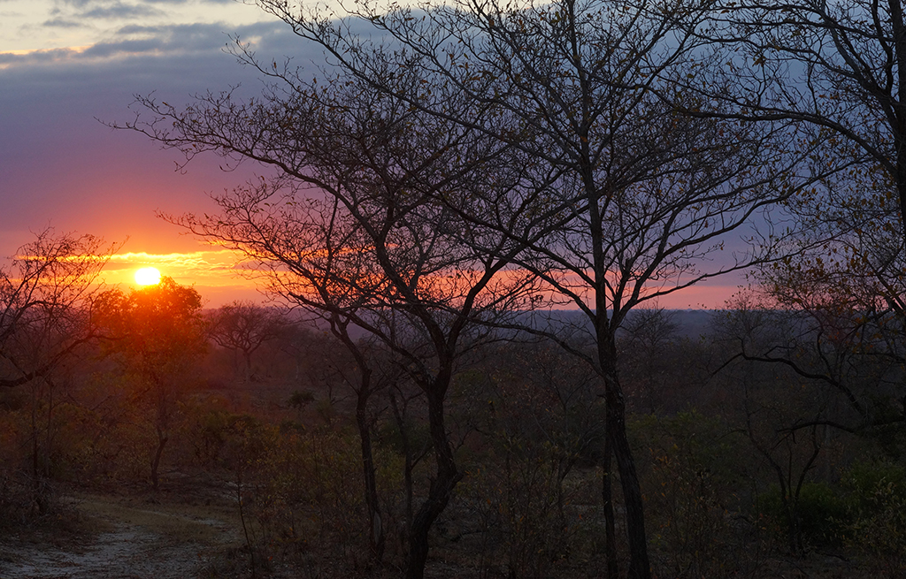 Sunset Sabi - Around About Cars