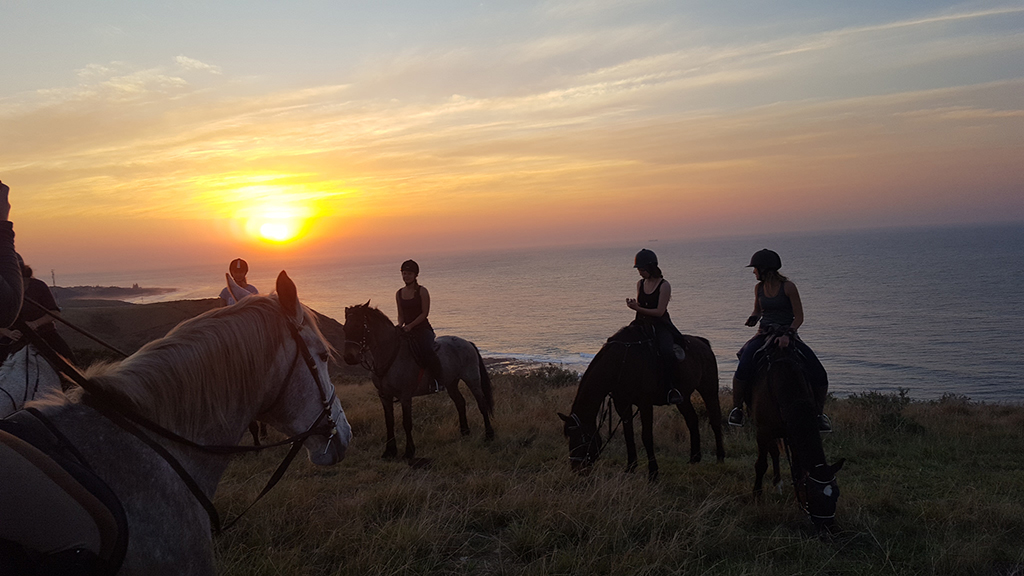 Wild Coast Horseback Trails - Around About Cars