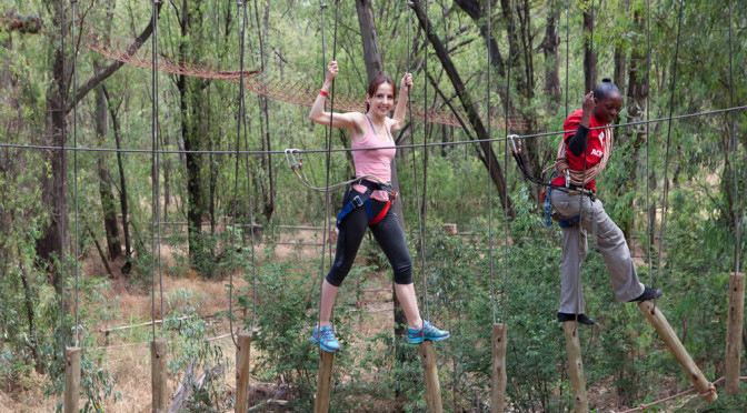 Acrobranch - Around About Cars