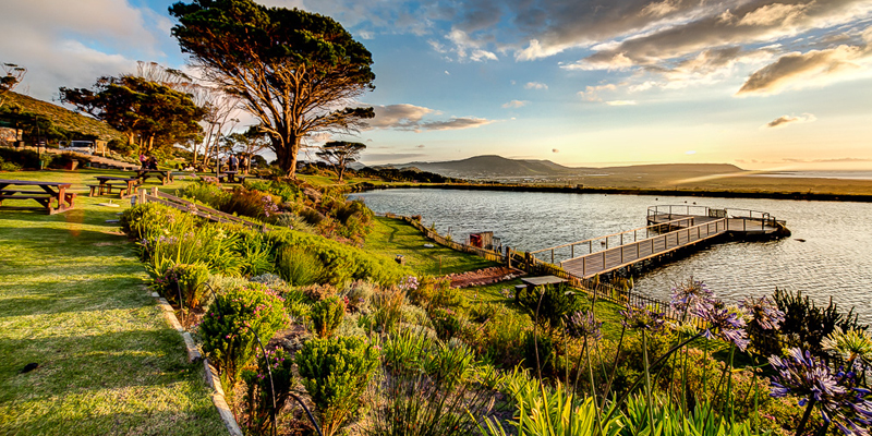 Cape Point Vineyards.