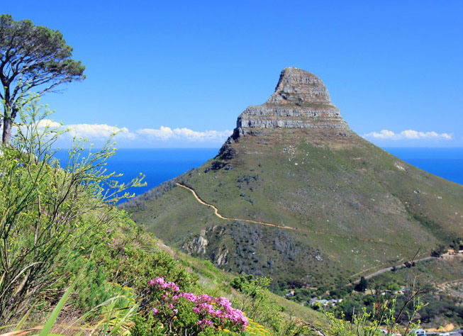 Lions Head - Around About Cars