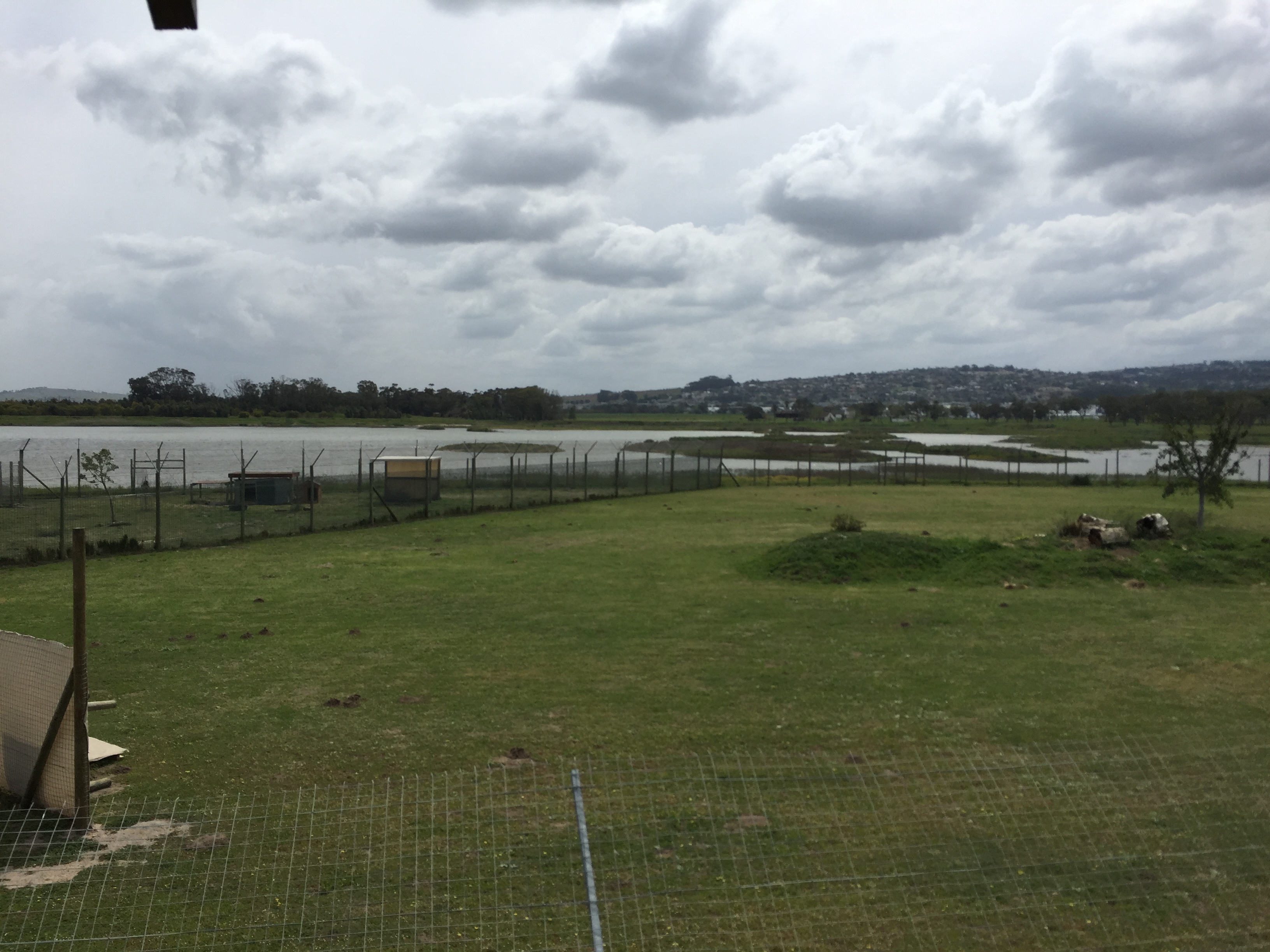 Cheetah Outreach enclosure.