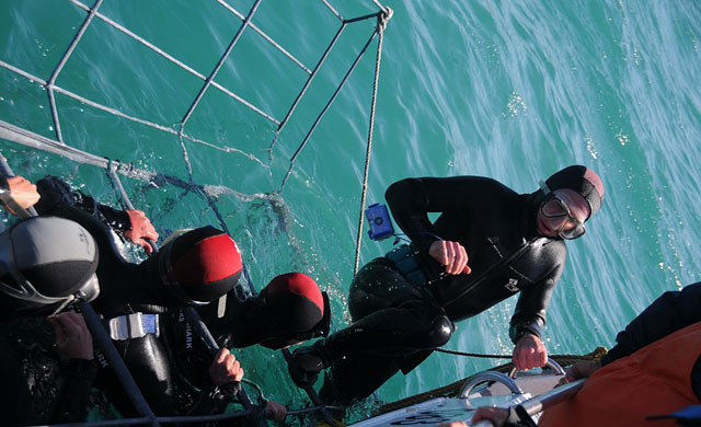 Climbing out of the cage.