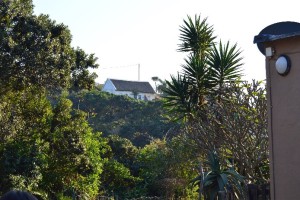 The King's house at Coffee Shack.