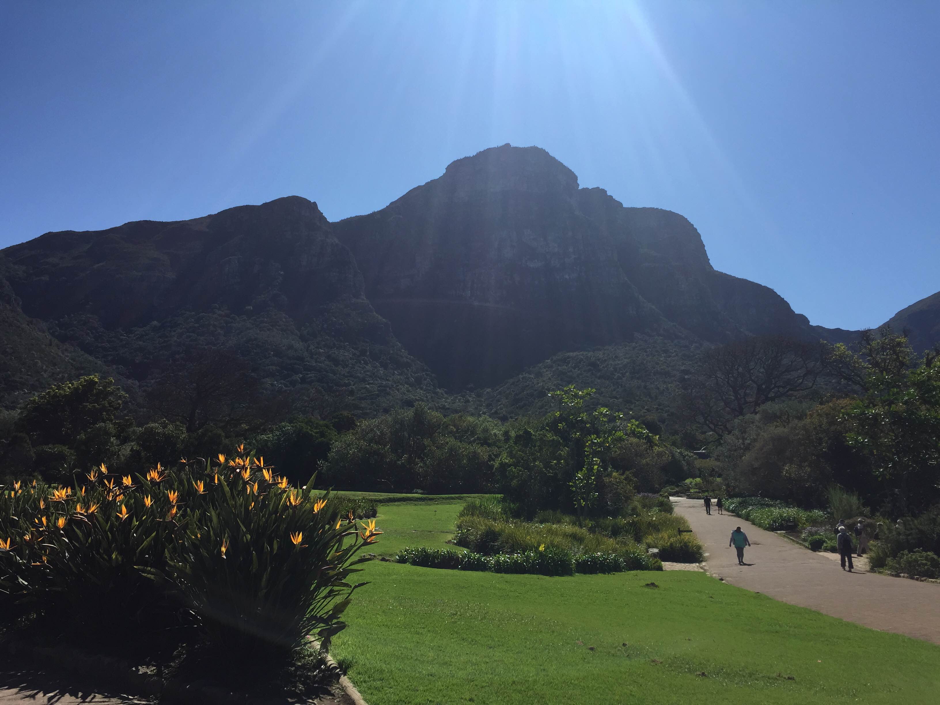 Kirstenbosch Botanical Gardens.