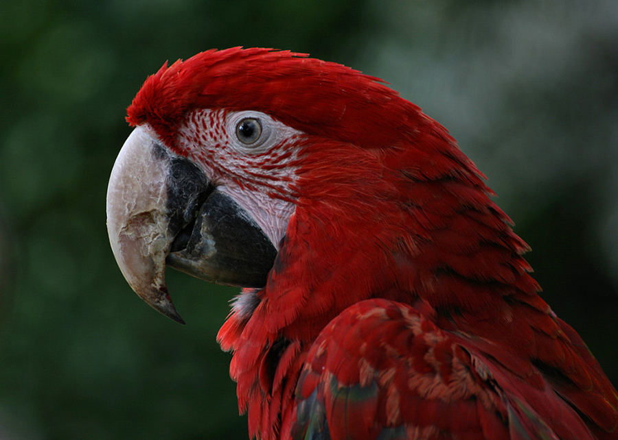 Monte Casino Bird Gardens - Around About Cars