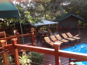 Monzi Safaris Durban.
