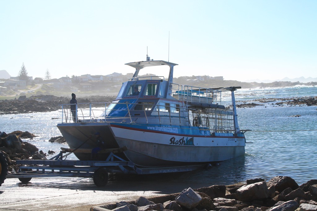 SLASHFIN THE SHARK CAGE DIVING VESSEL!