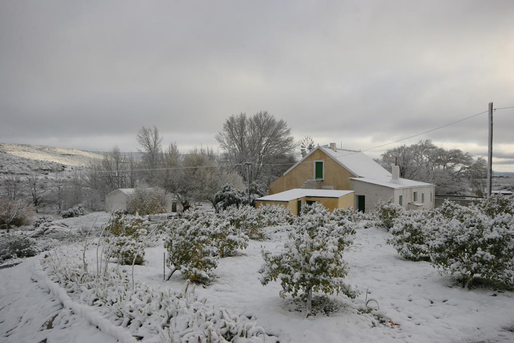 Snow - Around About Cars