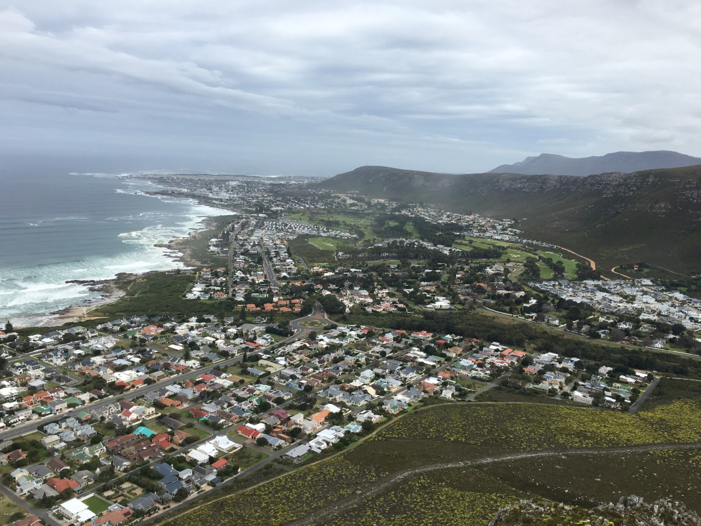 VIEW OF THE TOWN FROM THE TOP