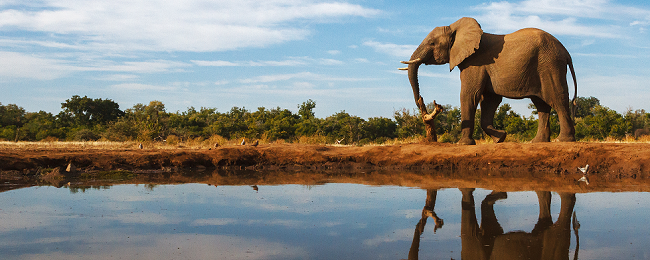 BOTSWANA GABORONE CAR HIRE